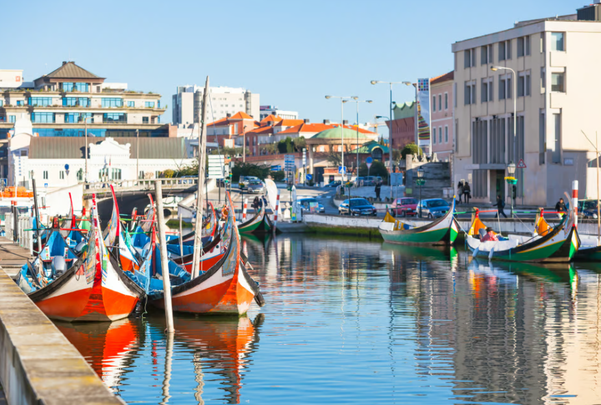 Coimbra e Aveiro com passeio de barco moliceiro